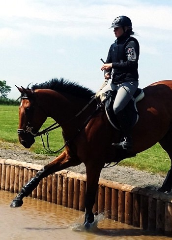 Starvie de Lully