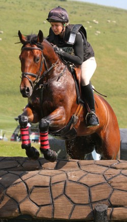 Cruise GTI, Barbury Castle CIC2* 2013