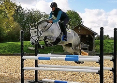 Training of Competition Horses